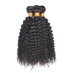 curly wave hair bundles 2