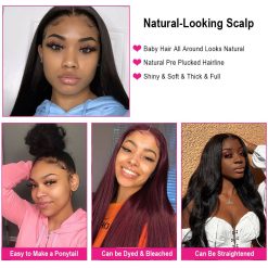 Straight Hair 5x5 Lace Closure Wigs 5